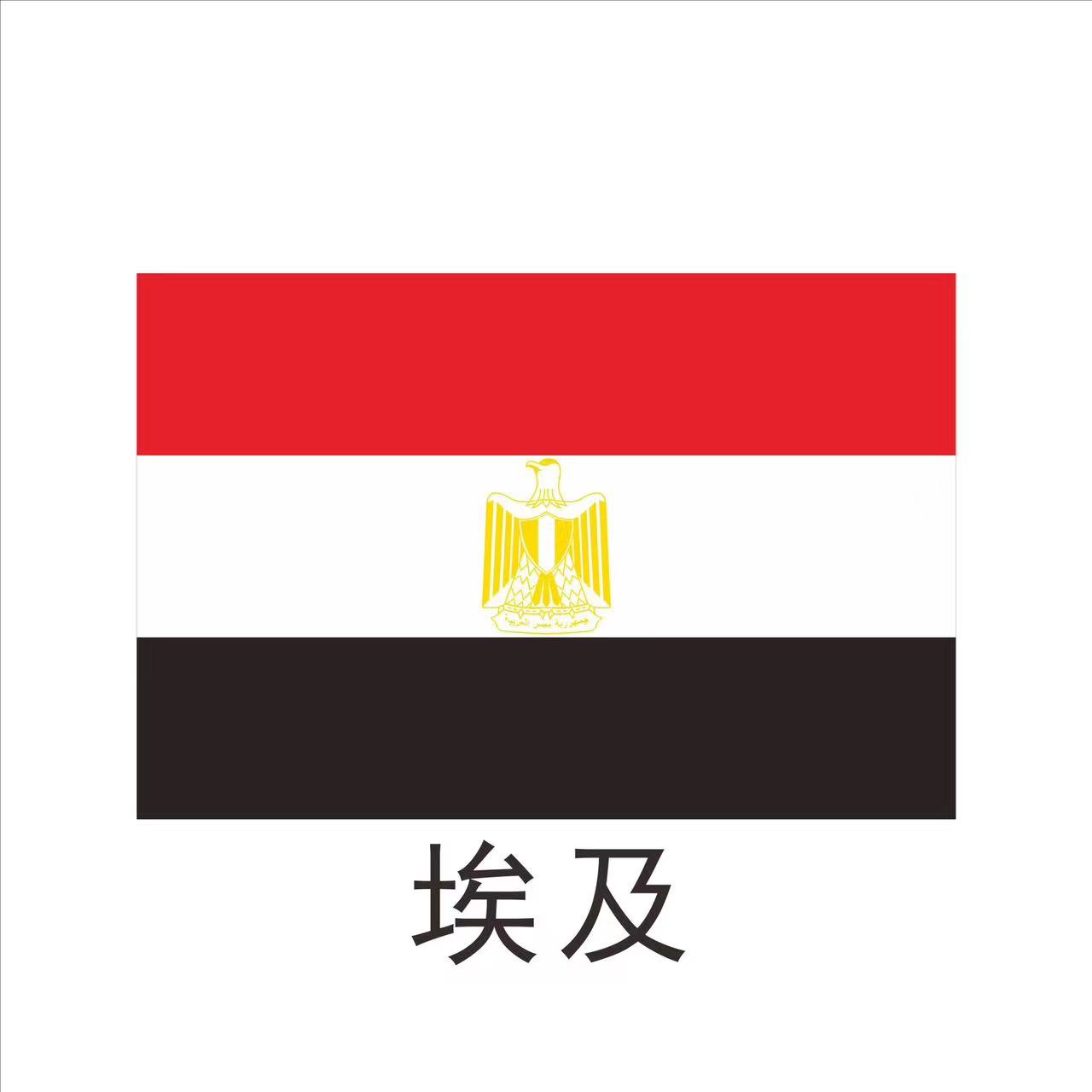 出口埃及 - GOEIC & NFSA