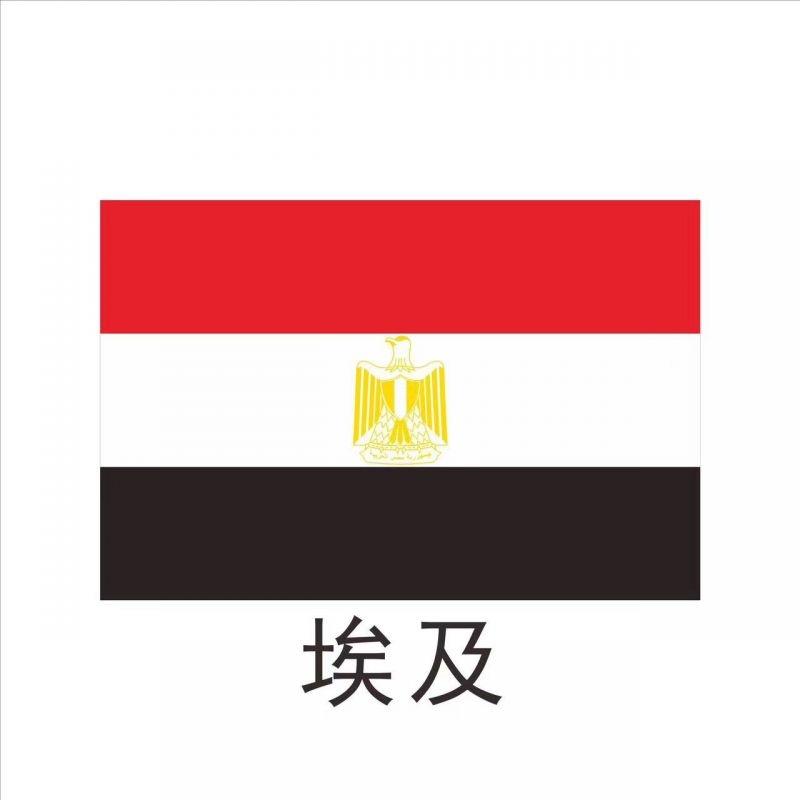 出口埃及 - GOEIC & NFSA